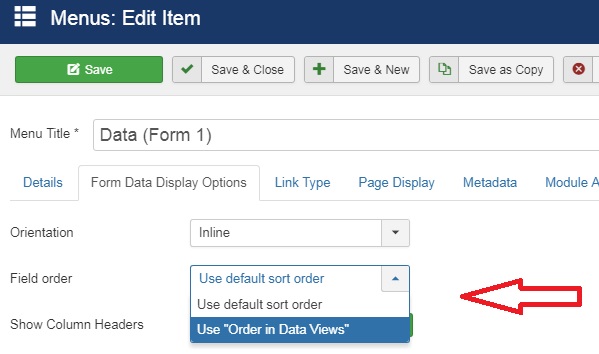 Frontend Data View Field Order